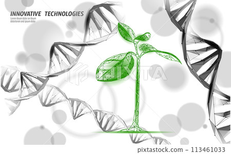 Plant leaf biotechnology abstract concept. 3D render seedling tree leaves DNA genome engineering vitamin supplement. Medical science life eco polygon triangles low poly vector illustration Plant leaf biotechnology abstract concept. 3D render seedling tree leaves DNA genome engineering vitamin supplement. Medical science life eco polygon triangles low poly vector illustration 113461033