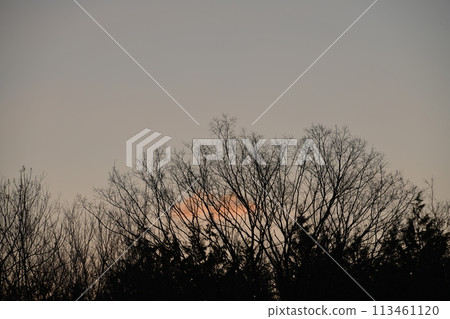 Sunrise and clouds in the sky 113461120