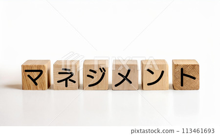 A wooden cube with the word "management" written on it 113461693