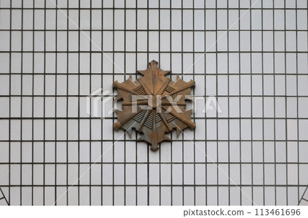 Fire Department Emblem 113461696
