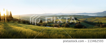 Panorama of landscape with sunrise in Tuscany, Italy 113462593