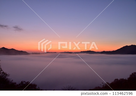 從寶山公園展望台眺望夜久野台地的雲海 113462596