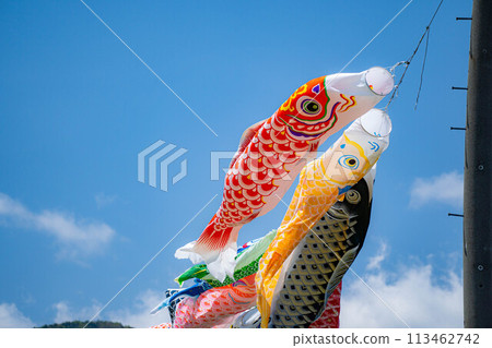 [初夏材料]鯉魚旗在天空中游泳[長野] 113462742