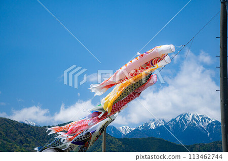 [初夏材料]鯉魚旗在天空中游泳[長野] 113462744