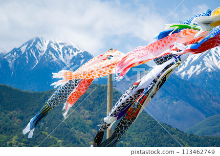 [初夏材料]鯉魚旗在天空中游泳[長野] 113462749