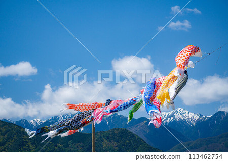 [初夏材料]鯉魚旗在天空中游泳[長野] 113462754