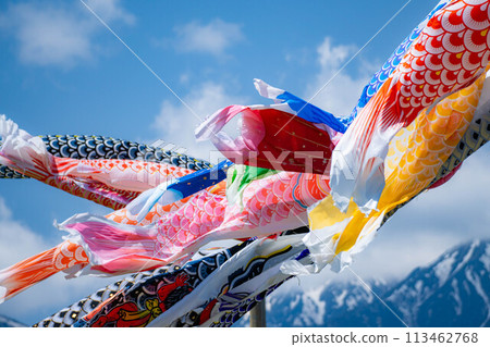 [初夏材料]鯉魚旗在天空中游泳[長野] 113462768