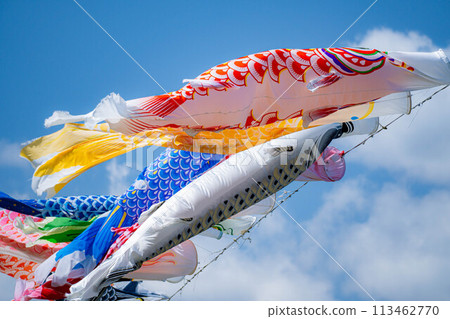 [Early summer material] Carp streamers swimming in the sky [Nagano] 113462770