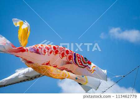 [初夏材料]鯉魚旗在天空中游泳[長野] 113462779