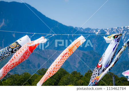 [初夏材料]鯉魚旗在天空中游泳[長野] 113462784