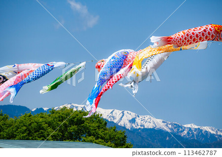 [Early summer material] Carp streamers swimming in the sky [Nagano] 113462787