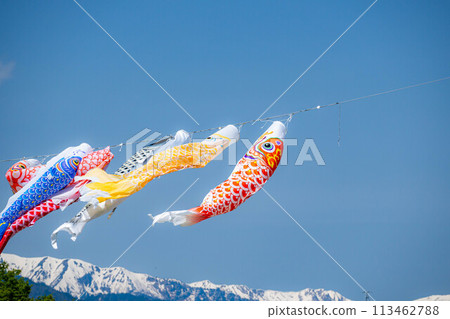 [初夏材料]鯉魚旗在天空中游泳[長野] 113462788