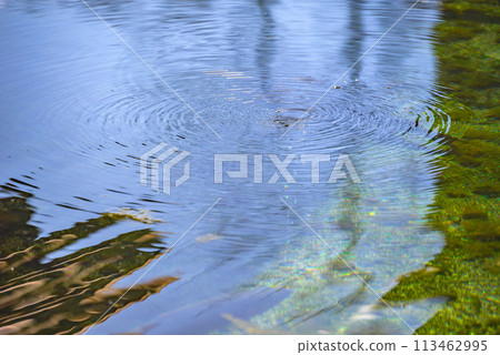 Groundwater spring [Daioh Wasabi Farm] 113462995