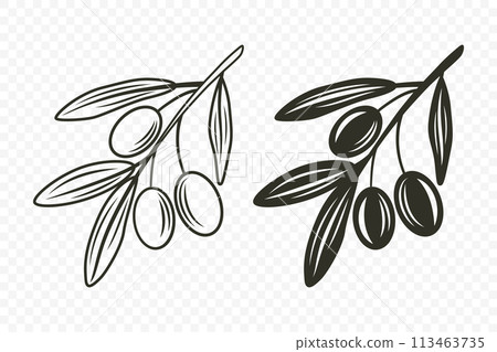 Flat Vector Olive Branch with Olives Set. Hand Drawn Olive Tree Branch with Outline 113463735