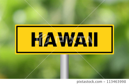 Hawaii road sign on blur background Hawaii road sign on blur background 113463998