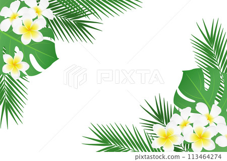 Tropical plant frame for summer_vector illustration 113464274