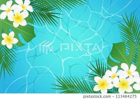 Tropical plants and water surface background in everlasting summer_vector illustration 113464275