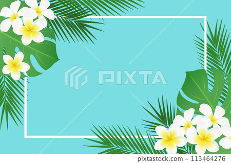 Tropical plant frame for summer_vector illustration 113464276