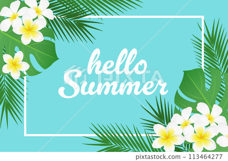 Tropical plants banner design for summer_vector illustration 113464277