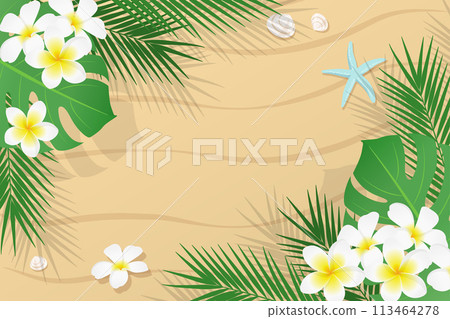 Tropical plants and sandy beach background for summer_vector illustration 113464278