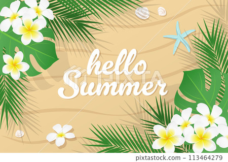 Summer tropical plants and sandy beach banner design_vector illustration 113464279