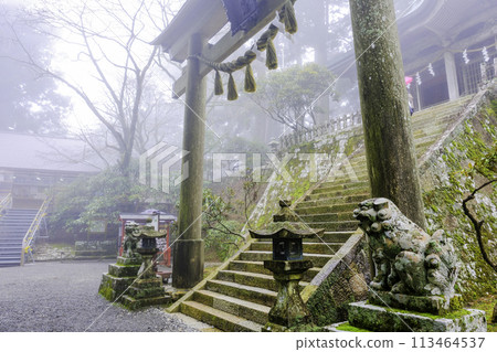 Torii gate and lion dogs at Tamaki Shrine Torii gate and lion dogs at Tamaki Shrine 113464537