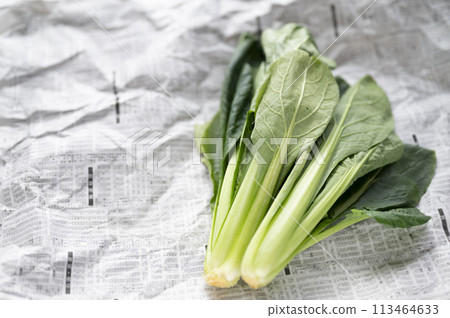 Substandard vegetables, Komatsuna that cannot be shipped 113464633