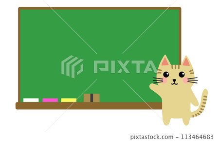 Cat and blackboard illustration 113464683