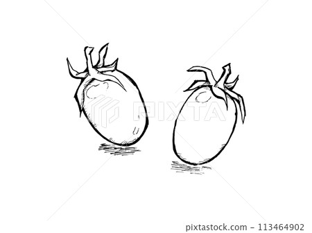 Cherry Tomato Aiko Line Drawing Hand-drawn Sumi-e 113464902