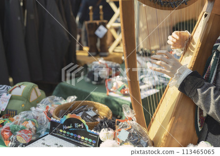 在露天市場上手彈豎琴 113465065
