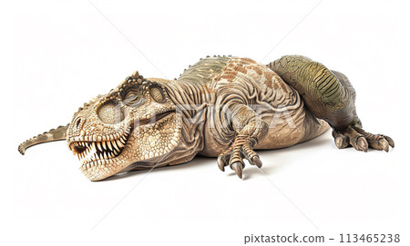 Tyrannosaurus image of Tyrannosaurus No15-6 Tyrannosaurus image of Tyrannosaurus No15-6 113465238