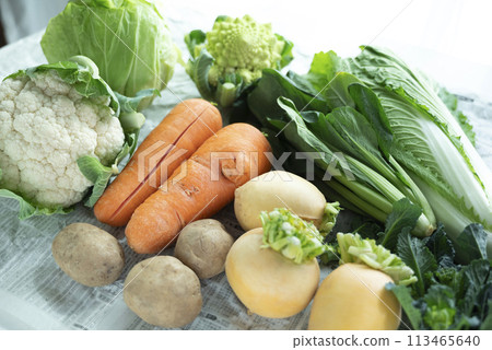 不合格蔬菜, 不合格蔬菜, 113465640