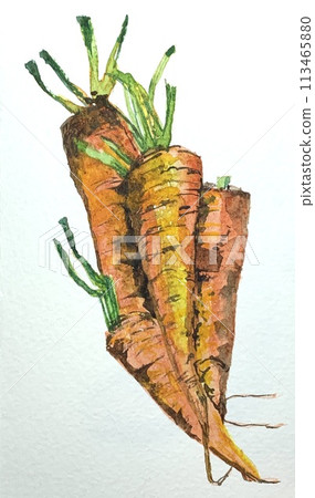 Fresh carrots with soil 113465880