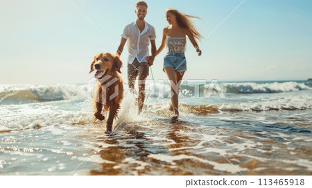Man and Woman Walking Dog on Beach 113465918