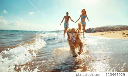Two People and a Dog Walking on the Beach 113465929