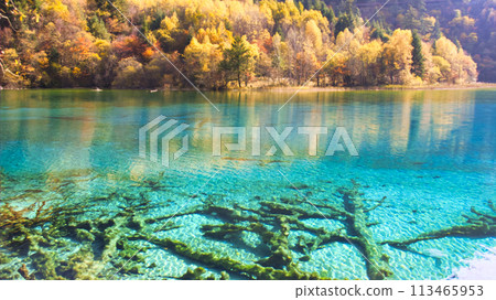 世界遺產九寨溝秋日美景 113465953