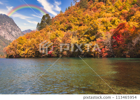 世界遺產九寨溝秋日美景 世界遺產九寨溝秋日美景 113465954