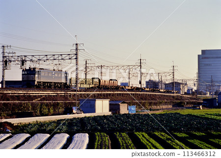 2003年在東海道線運行的EF65116貨運列車 113466312