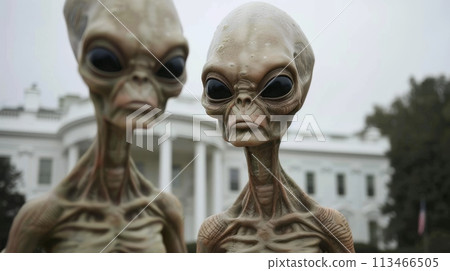 Two Alien Standing in Front of the White House Two Alien Standing in Front of the White House 113466505