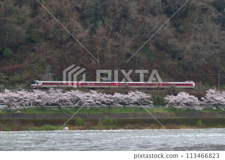春季高橋川、博備線特急八雲：381系列全景編隊（岡山⇔出雲市） 113466823
