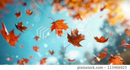 Autumn Maple Leaves Floating in the Air. Generative ai Autumn Maple Leaves Floating in the Air. Generative ai 113466925