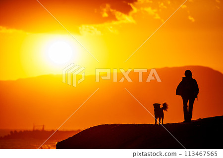 夕陽西下,一個人帶著狗在湘南的海上散步 夕陽西下,一個人帶著狗在湘南的海上散步 113467565