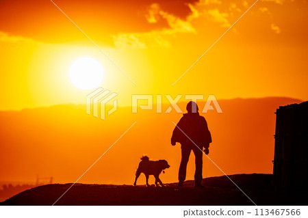 A person walking a dog along the Shonan Sea as the sun sets 113467566