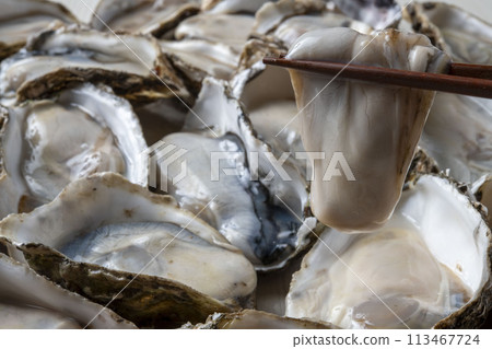 新鮮和美味的生牡蠣 新鮮和美味的生牡蠣 113467724