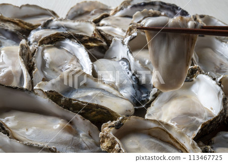 Fresh and tasty raw oysters Fresh and tasty raw oysters 113467725