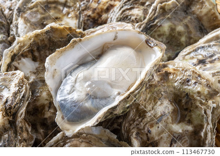 Fresh and tasty raw oysters Fresh and tasty raw oysters 113467730
