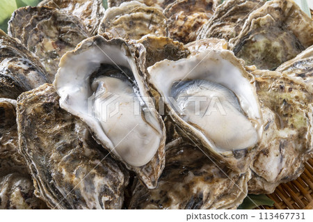Fresh and tasty raw oysters 113467731