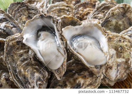 新鮮和美味的生牡蠣 新鮮和美味的生牡蠣 113467732
