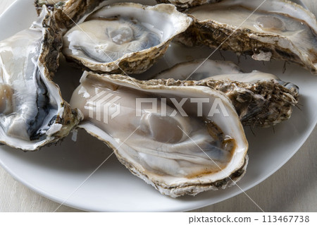 Fresh and tasty raw oysters 113467738