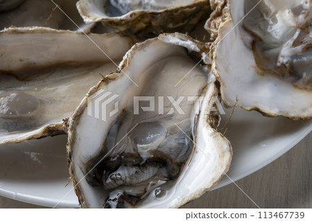新鮮和美味的生牡蠣 新鮮和美味的生牡蠣 113467739